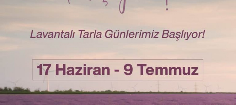 Lavanta Tarla Günleri 17 Haziran’da Başlıyor