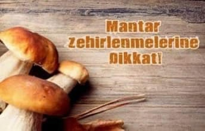Mantar Zehirlenmelerine Dikkat!