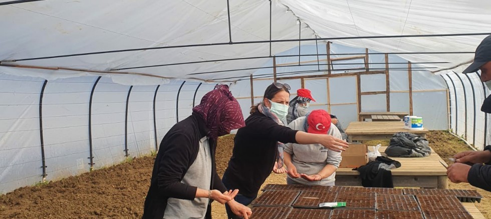 Mevsimlik Çiçeklerin Tohumları Atıldı