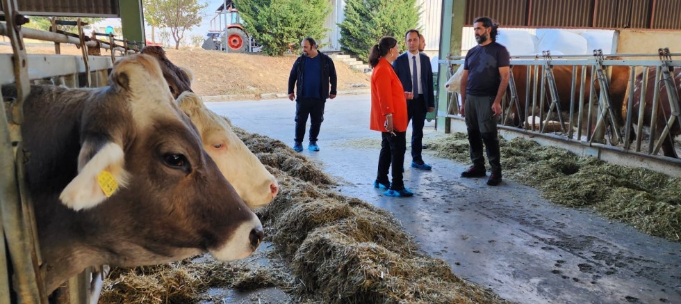 Müdür Türkarslan’dan Familk İşletmesine Ziyaret