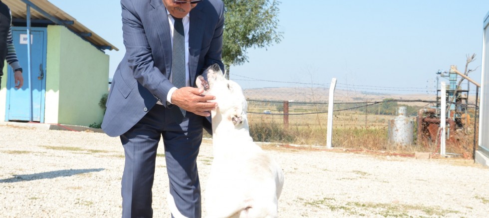 Özacar; “Soruşturma Başlatılmıştır”