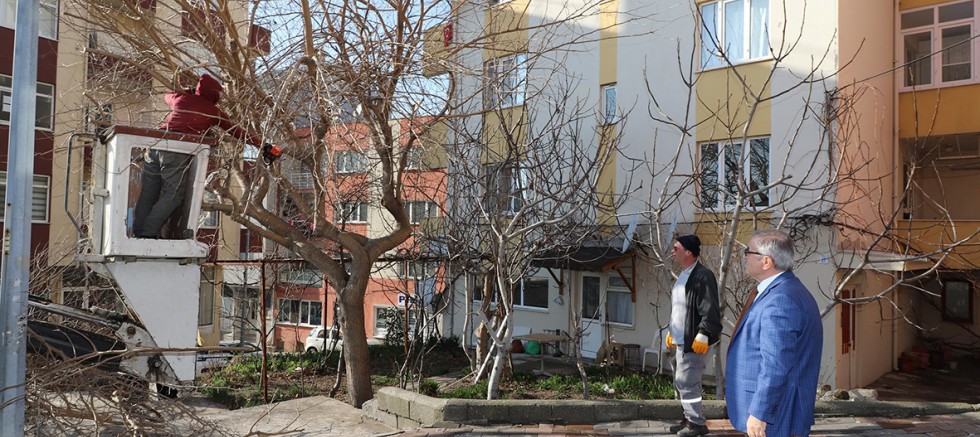 Park ve Bahçelerde Çalışmalar Devam Ediyor