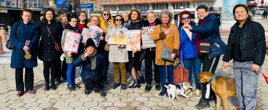 Sokak Canlarının Dostlarından Basın Açıklaması