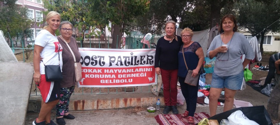 Sokak Hayvanları İçin Satış Yaptılar