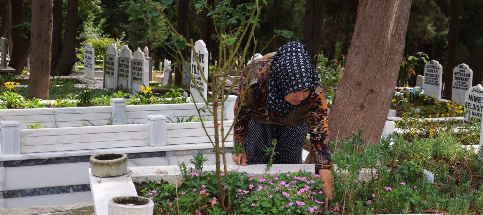 Sokak Hayvanlarının Gönüllü Dostu