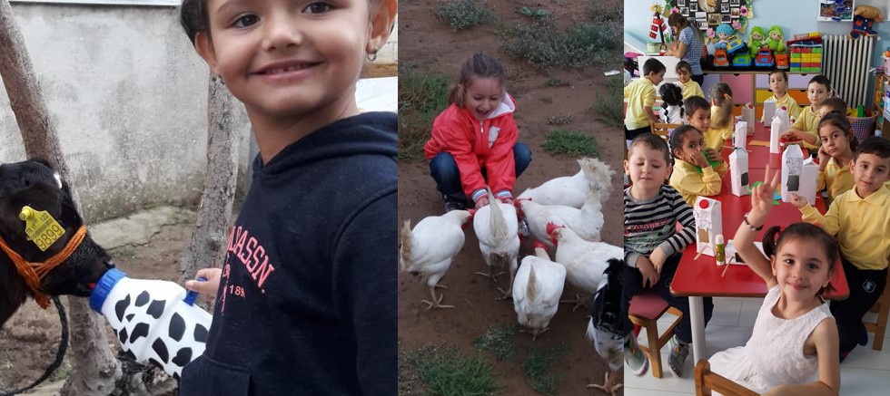 “Sokaktaki Dostlarımıza Bir Kap Umut” İlçe Milli Eğitim Müdürlüğü’nden