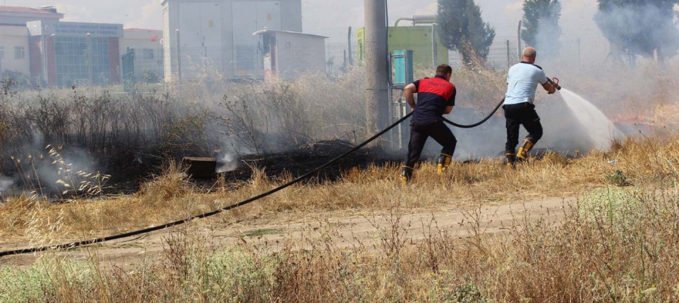 Tele Çarpan Kuş Yangın Çıkardı