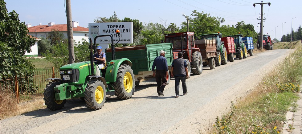 TMO Buğday Alımına Başladı