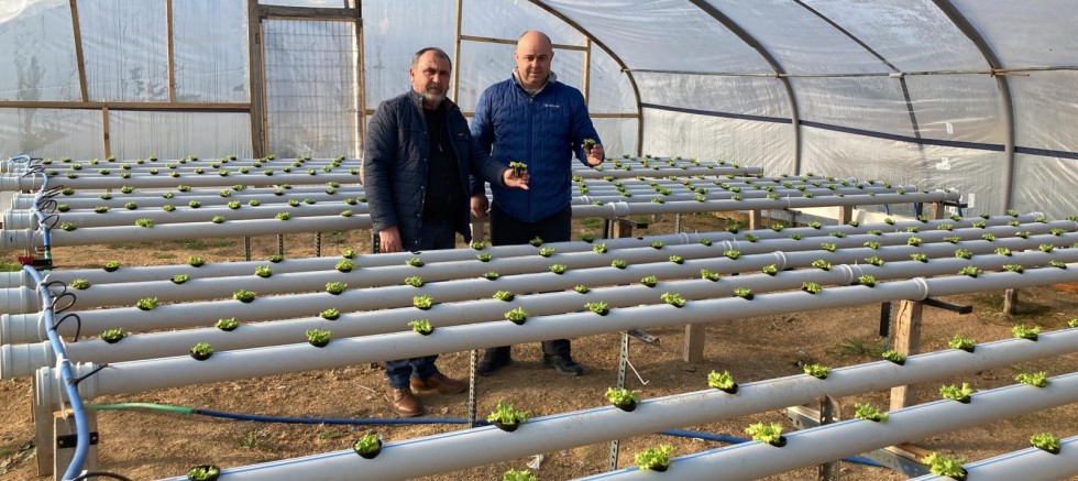 Topraksız Tarım İçin Ar-Ge Çalışmasına Başladılar