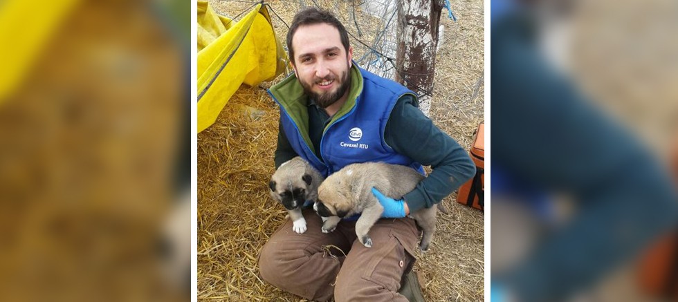 Veteriner hekim uyardı; Silikon kedi kumu kullanmayın!