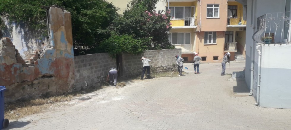 Yabani Ot Temizliği Yapıldı