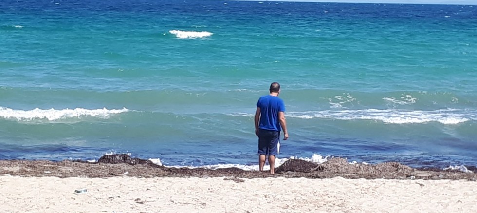 Yavru Yunusu Vatandaş Kurtardı