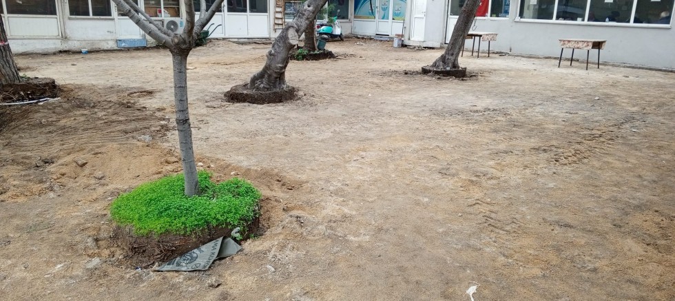 Yeni Balık Hali İçin Çalışmalar Başladı