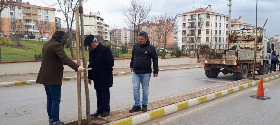Yeni Fidanlar Dikildi