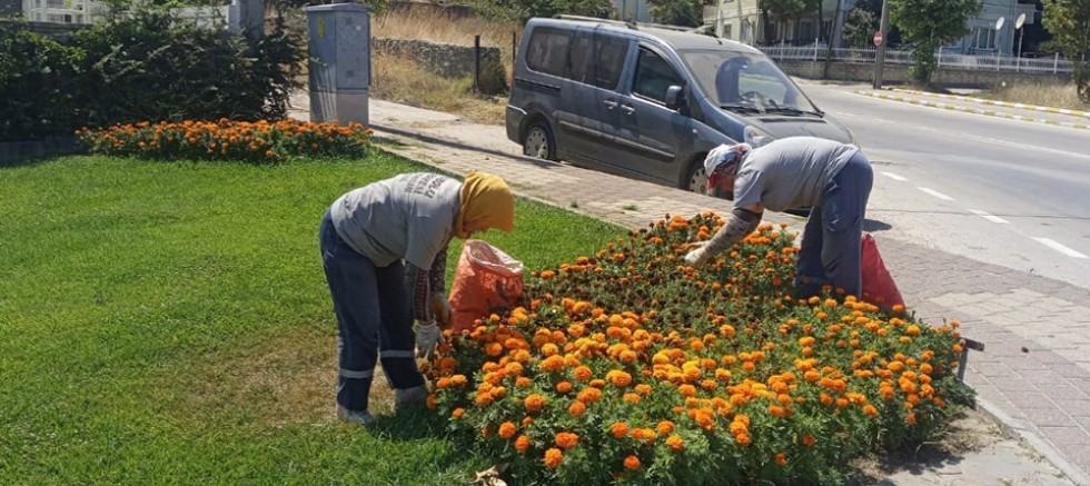 Yeşil Alanlarda Çalışmalar Sürüyor