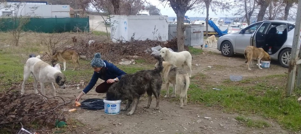 Yılbaşında Yemek Artığı Toplayacak