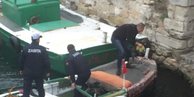 Zabıta, İç Limana Düşen Kediyi Kurtardı